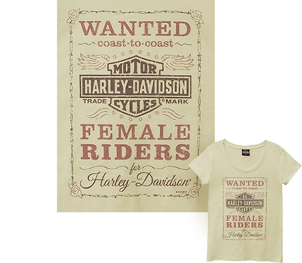 Harley-Davidson 3