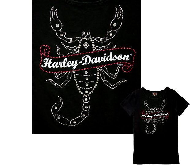 Harley-Davidson 4