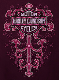 Harley-Davidson 6